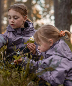 Lingbo skel jakki - Lavender 11 - Húnar Lingbo Er Skel Með Endingargóðu Vatnsheftandi Ystalagi Með Góðri Öndun. Hetta Sem Er Hægt Að Fjarlægja Og Gott Endurskin. Tilvalinn Í Leik Og Gleði. ≪Strong≫Helstu Eiginleikar≪Em≫:≪/Em≫≪/Strong≫ ≪Ol≫ ≪Li≫Slitsterk Úlpa Úr Næloni≪/Li≫ ≪Li≫10.000 Mm Vatnsheldni≪/Li≫ ≪Li≫5000 G/M2/24 Öndun≪/Li≫ ≪Li≫Vatnsheldir Límdir Saumar≪/Li≫ ≪Li≫Ykk Rennilásar≪/Li≫ ≪Li≫Gott Endurskin≪/Li≫ ≪Li≫2 Brjóstvasar≪/Li≫ ≪Li≫Hetta Sem Er Hægt Að Fjarlægja≪/Li≫ ≪/Ol≫ ≪Strong≫Efni:≪/Strong≫ 100% Nælon/100% Polyester ≪Strong≫Þvottameðhöndlun:≪/Strong≫≪Em≫ ≪/Em≫Þvoist Við Max 40° - Húnar - 2908 2000 D6 2